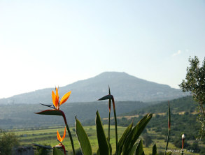 picture
